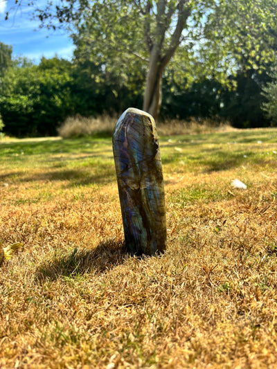 Labradorite (Standing Polished)