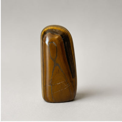 Tiger's Eye Polished Standing Freeform - detail view 2
