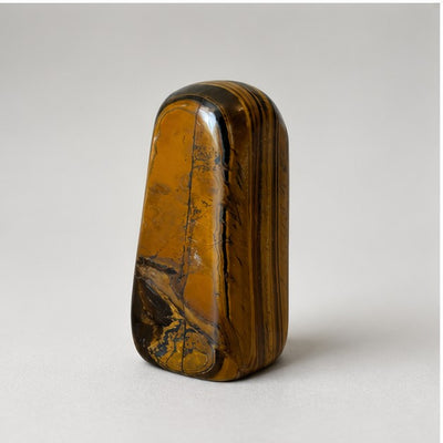 Tiger's Eye Polished Standing Freeform - detail view 3