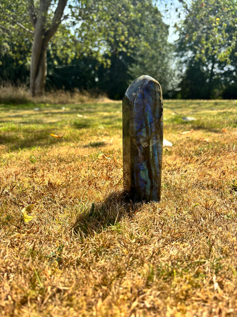 Labradorite (Standing Polished)