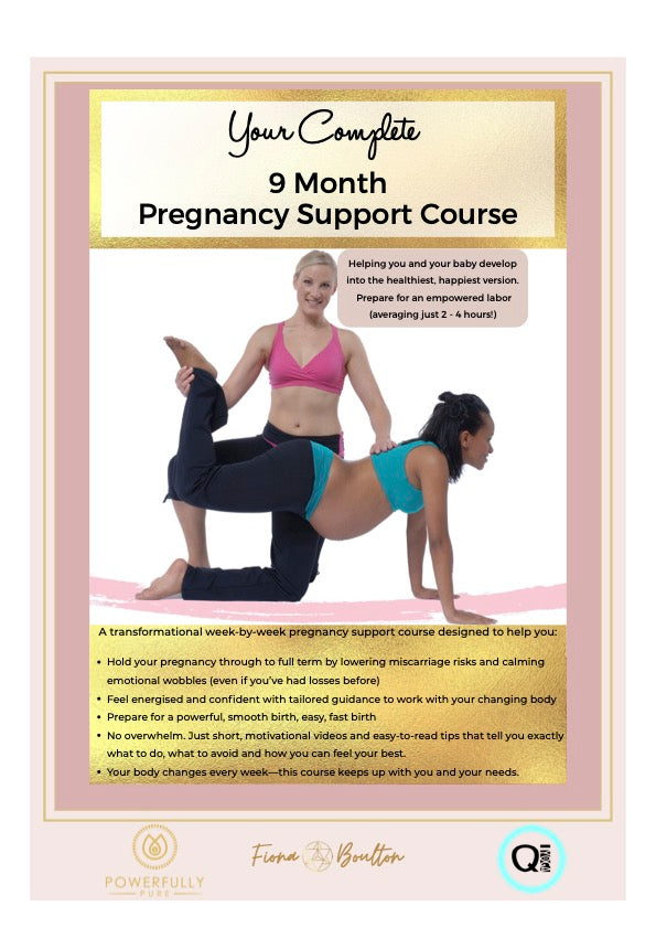 Pregnancy Support Course