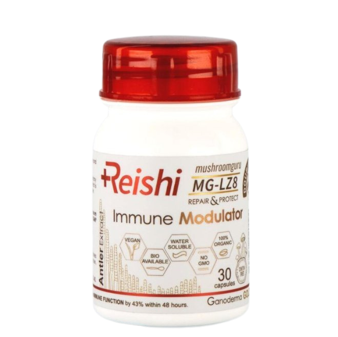 Medical Grade Reishi Mushroom Capsules
