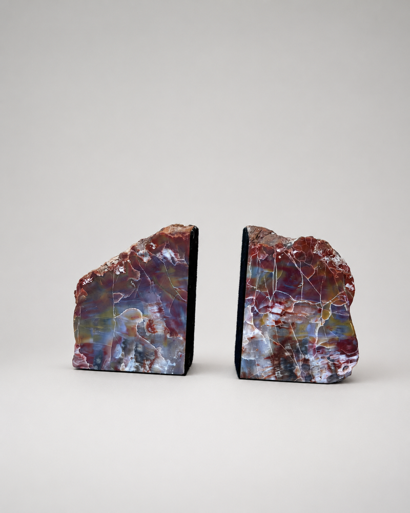 Petrified Wood Bookends (Pair)