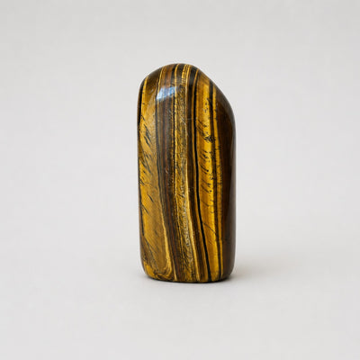 Tiger's Eye Polished Standing Freeform - main view