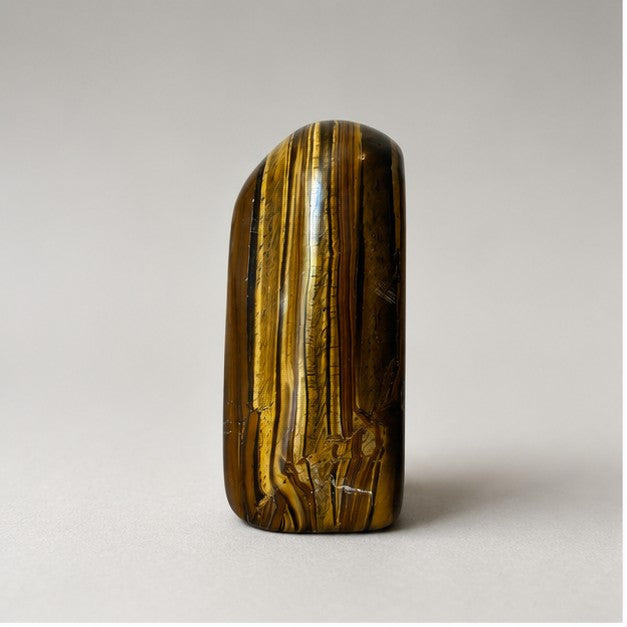 Tiger's Eye Polished Standing Freeform - main view