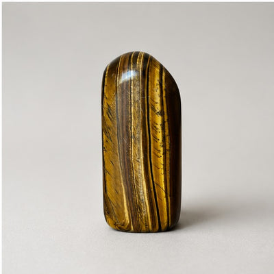 Tiger's Eye Polished Standing Freeform - detail view 4